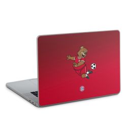 Foils for Laptops glossy