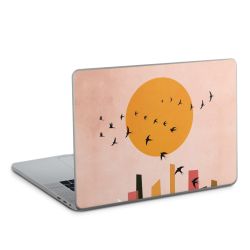 Foils for Laptops glossy