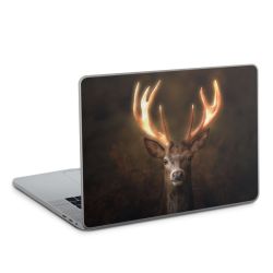 Foils for Laptops glossy