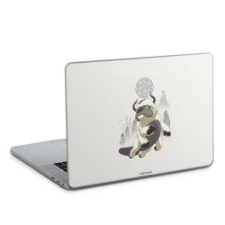 Foils for Laptops glossy