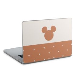 Foils for Laptops glossy