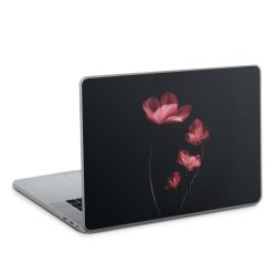 Foils for Laptops glossy