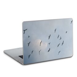 Foils for Laptops matt