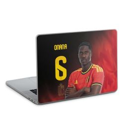 Foils for Laptops matt