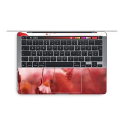 Foils for Laptops glossy