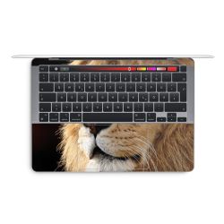 Foils for Laptops glossy