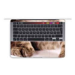 Foils for Laptops glossy