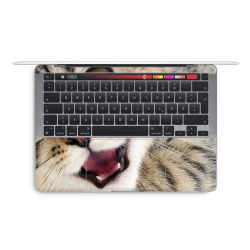 Foils for Laptops glossy