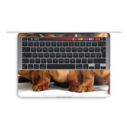 Foils for Laptops glossy