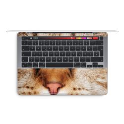 Foils for Laptops glossy