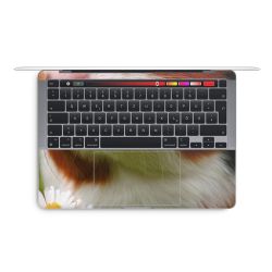 Foils for Laptops glossy