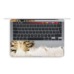 Foils for Laptops glossy