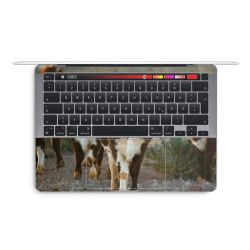 Foils for Laptops glossy