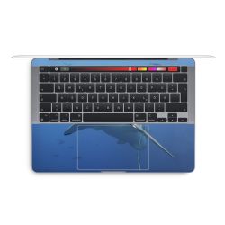 Foils for Laptops glossy