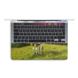 Foils for Laptops glossy