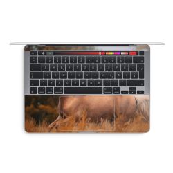 Foils for Laptops glossy