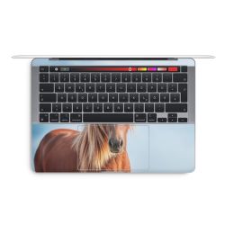 Foils for Laptops glossy