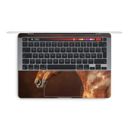 Foils for Laptops glossy