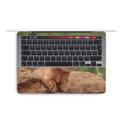 Foils for Laptops glossy