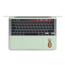 Foils for Laptops glossy