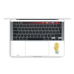 Foils for Laptops glossy