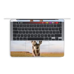 Foils for Laptops glossy