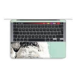 Foils for Laptops glossy