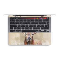 Foils for Laptops glossy