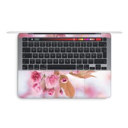Foils for Laptops glossy