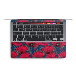 Foils for Laptops glossy