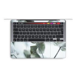 Foils for Laptops glossy