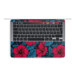 Foils for Laptops glossy