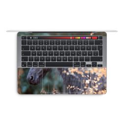Foils for Laptops glossy