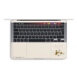 Foils for Laptops glossy