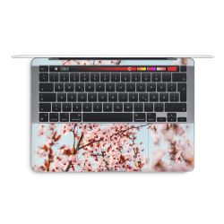 Foils for Laptops glossy