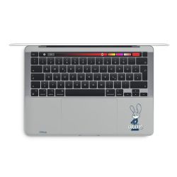 Foils for Laptops glossy