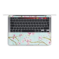Foils for Laptops glossy
