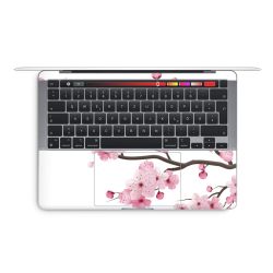 Foils for Laptops glossy