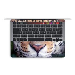 Foils for Laptops glossy