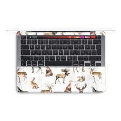 Foils for Laptops glossy