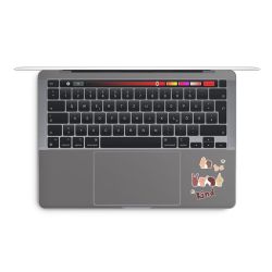 Foils for Laptops glossy