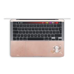 Foils for Laptops glossy