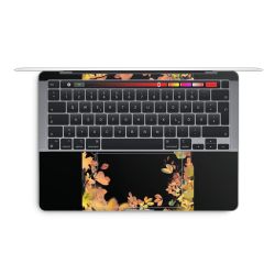 Foils for Laptops glossy
