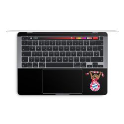 Foils for Laptops glossy