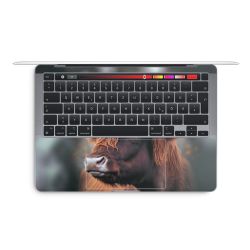 Foils for Laptops glossy