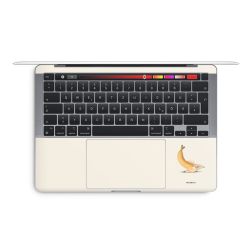 Foils for Laptops glossy