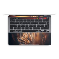 Foils for Laptops glossy