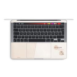 Foils for Laptops glossy