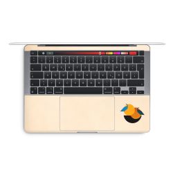 Foils for Laptops glossy