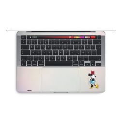 Foils for Laptops glossy